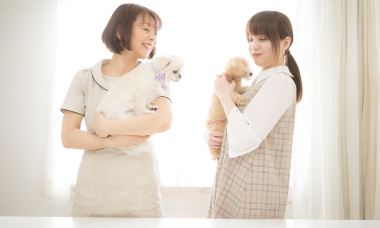 s__31973404.jpg